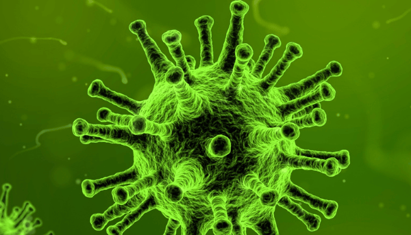 green viruses