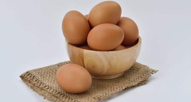 Planta industrial para fábrica de alimentos, com layout otimizado para produção eficiente.