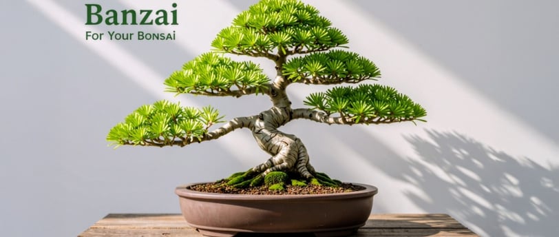 Blog Post Titile Image "Banzai for my Bonsai"