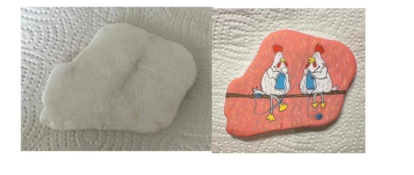 a picture of a bird on a rock