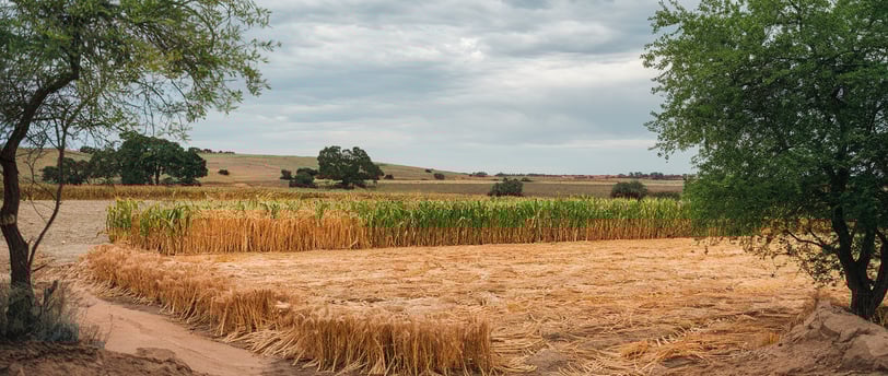 agricultura no semiárido brasileiro