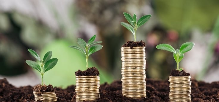 Grow your money
