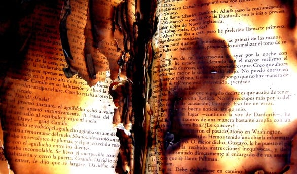 The Burning Book Author AW Mouton