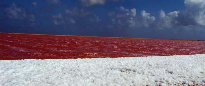 salinas de Bonaire viagens de cruzeiro