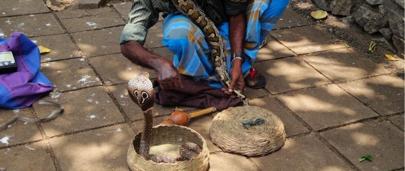 Encantador de cobra naja em Colombo, Sri Lanka.
