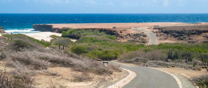 Estrada na chegada do parque de Arikok em Aruba.