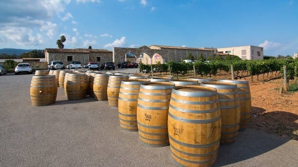 Bodegas de Binissalem