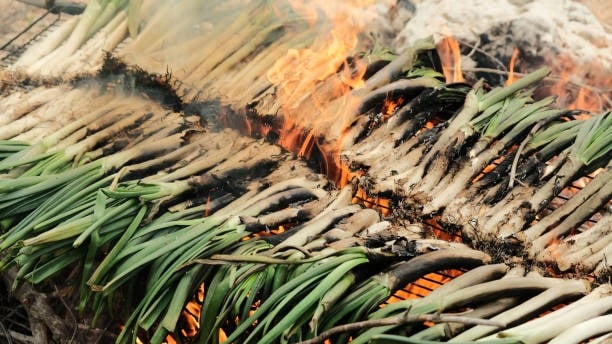 calçotada