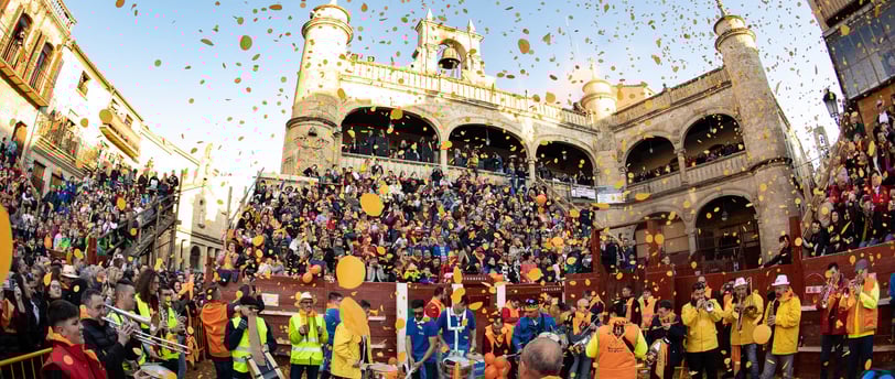 carnaval de toro