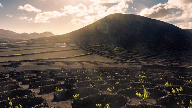 lanzarote