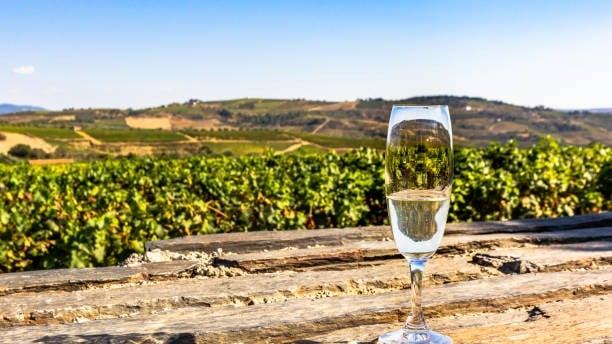Ruta del Cava en Sant Sadurní