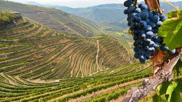 ruta del duero