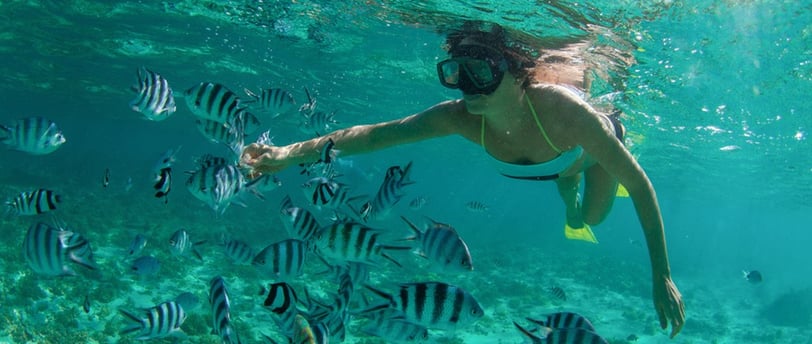 Snorkel en El Hierro
