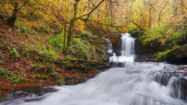 Turismo Rural en Navarra