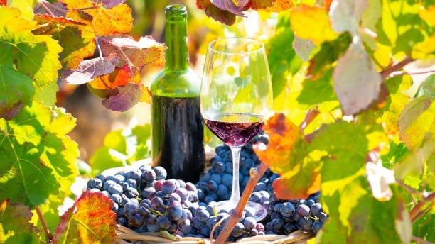 Vino de Rioja