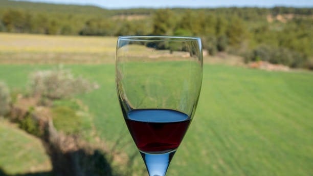 vinos de Aragón
