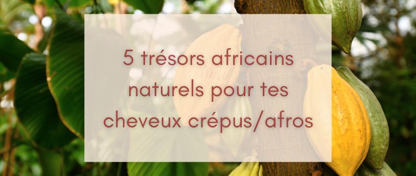 5 trésors naturels africains pour tes cheveux c crépus/afros