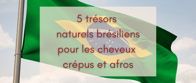 5 trésors naturels brésiliens pour les cheveux crépus et afros