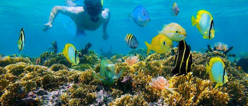 Roatan snorkeling tour