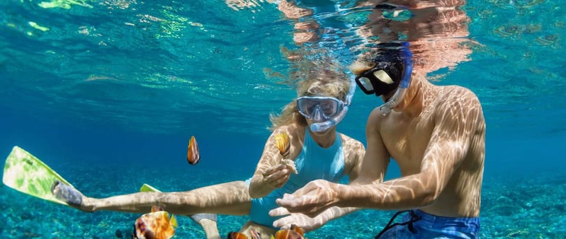 Snorkel Combo Package