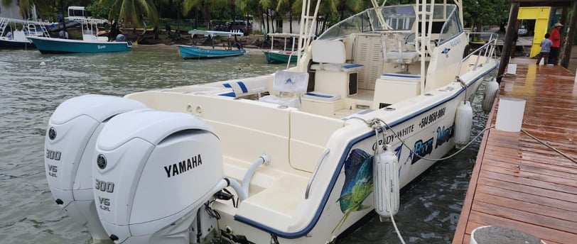 Sport fishing charters roatan