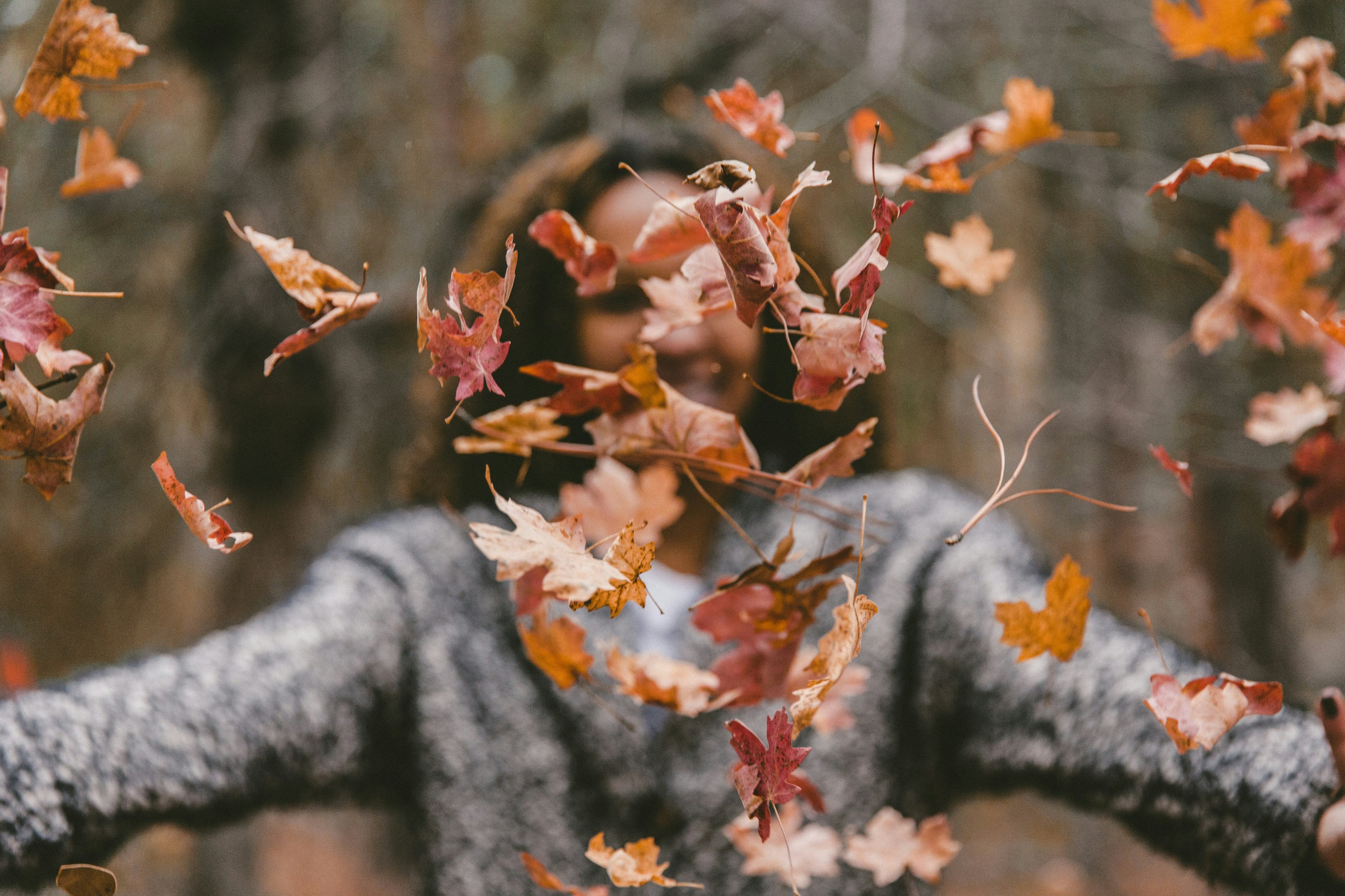 De emotionele impact van de herfst en waarom je juist nu wilt loslaten