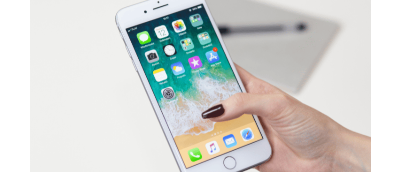 a person holding a Apple iPhone in their hand
