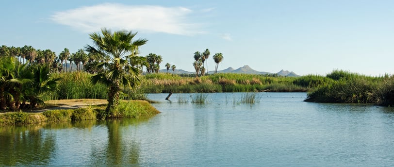 Estero de San José del Cabo
