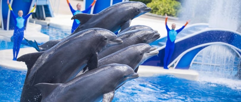Sea World San Diego