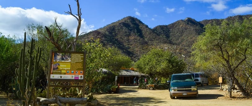 Sierra de La Laguna, Los Cabos