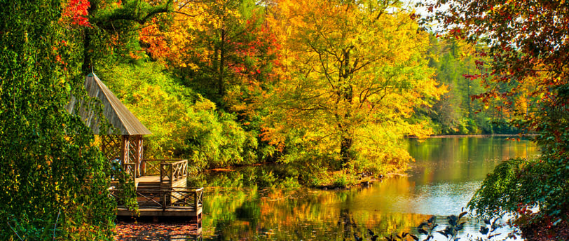 Actividades para hacer en otoño en Estados Unidos