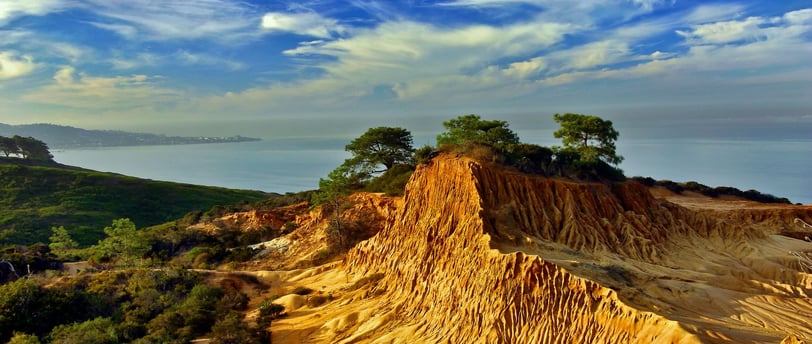 Torrey Pines, San Diego