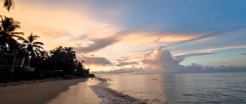 a beach with a sunset and palm trees