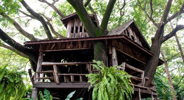 Off grid tree houses