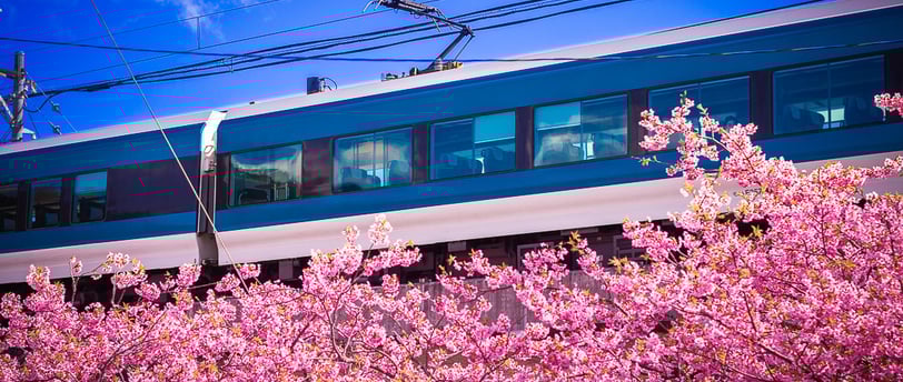 voyager facilement au japon en 2025 conseils astuces et retour d'experiencessans stress,