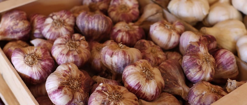 recette ail violet drome
