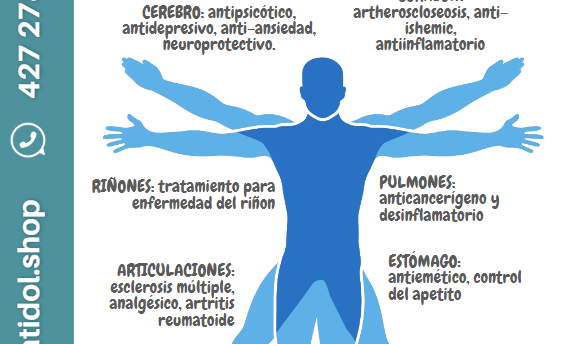 sistema canabinoide-cbd-satidol