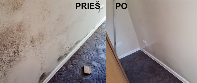 Pelesio naikinimo paslaugos, pelesio naikinimo darbai, pelesio naikinimo imone,