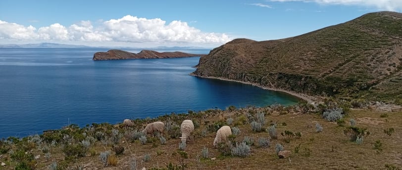 Visitare Isla del sol in giornata