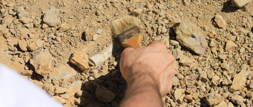 Fósiles de dinosaurios en España. Pirineos. Actividades para socios