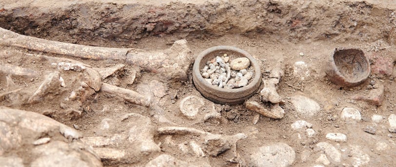 Origen de la paleontología