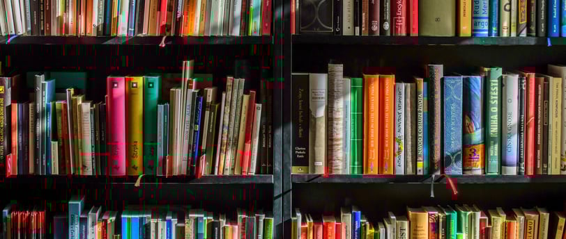 Insights Education Services