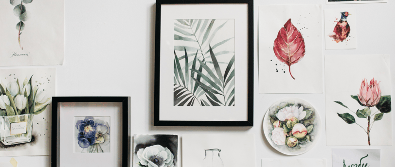 a wall of various framed pictures of flowers and plants