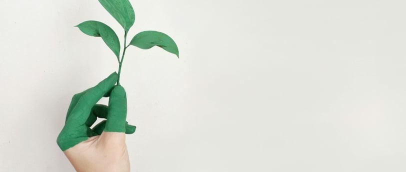 Uma mão com uma planta representando o Cursos Gratuitos Online da ICMBio