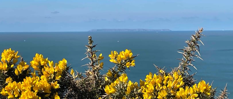 Lundy island off the coast in Woolacombe bay