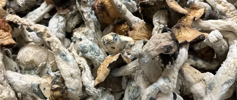 Buy Magic Mushrooms in Vancouver, Canada