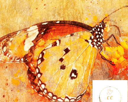 peinture orangée brun, butterfly
