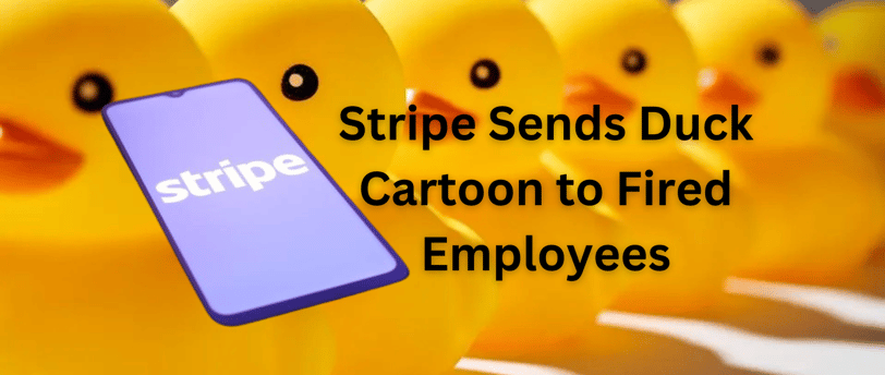 Stripe sends Duck Cartoon to Fired Employees