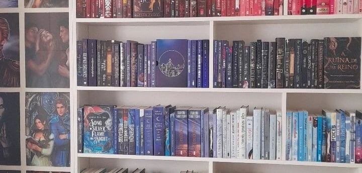 a room with a well-organized bookshelf and a few posters