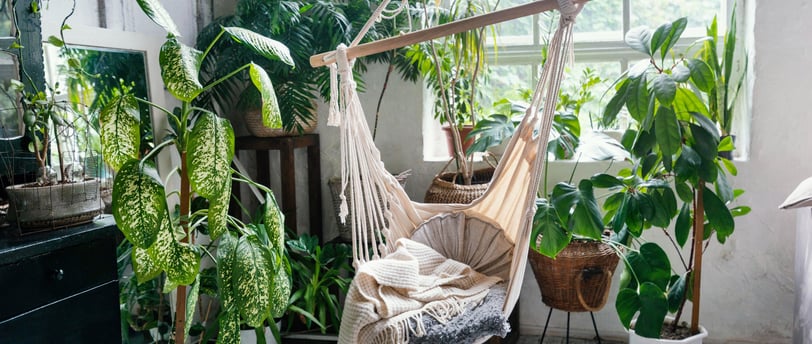 urban jungle